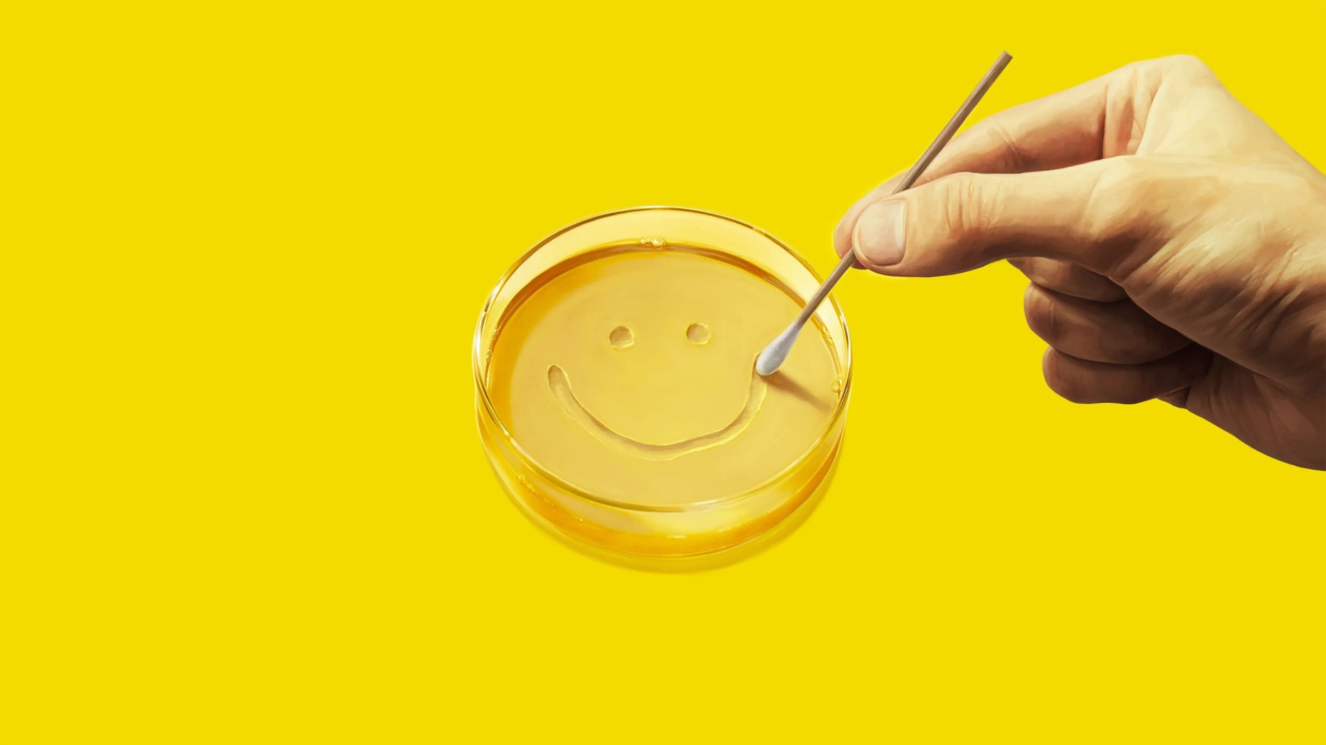 Pluribus | پلوریباس